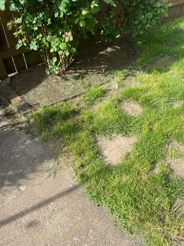 Custom landscape design near you in Vancouver, WA by Perez Landscaping Maintenance