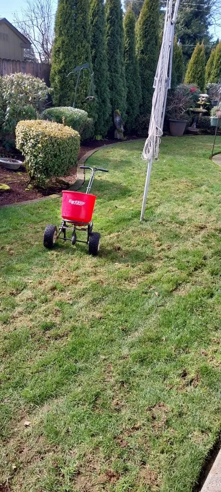 Reliable yard cleanup service in Vancouver, WA - Perez Landscaping Maintenance