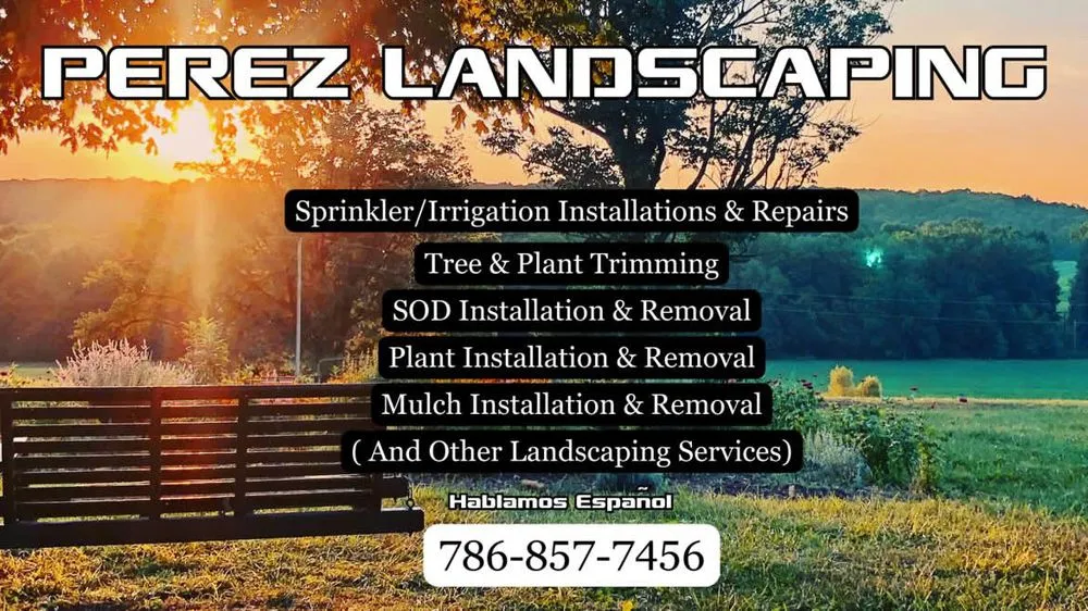 Professional yard cleanup service in Plant City, FL - Perez Landscaping