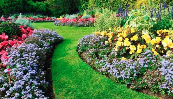 Trusted yard cleanup service for outdoor upgrades in Reno, NV by Perez Landscaping