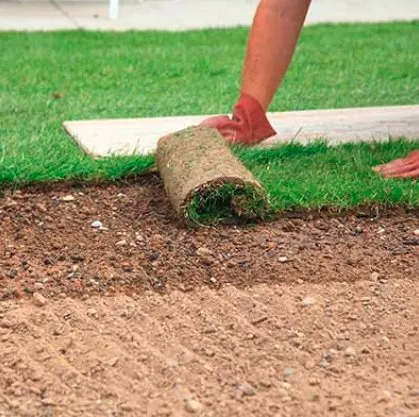 Affordable residential landscaping near you across Reno, NV - Perez Landscaping