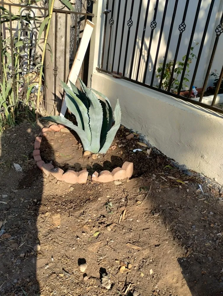 Custom yard cleanup service for outdoor upgrades across San Diego, CA - Perez Landscaping