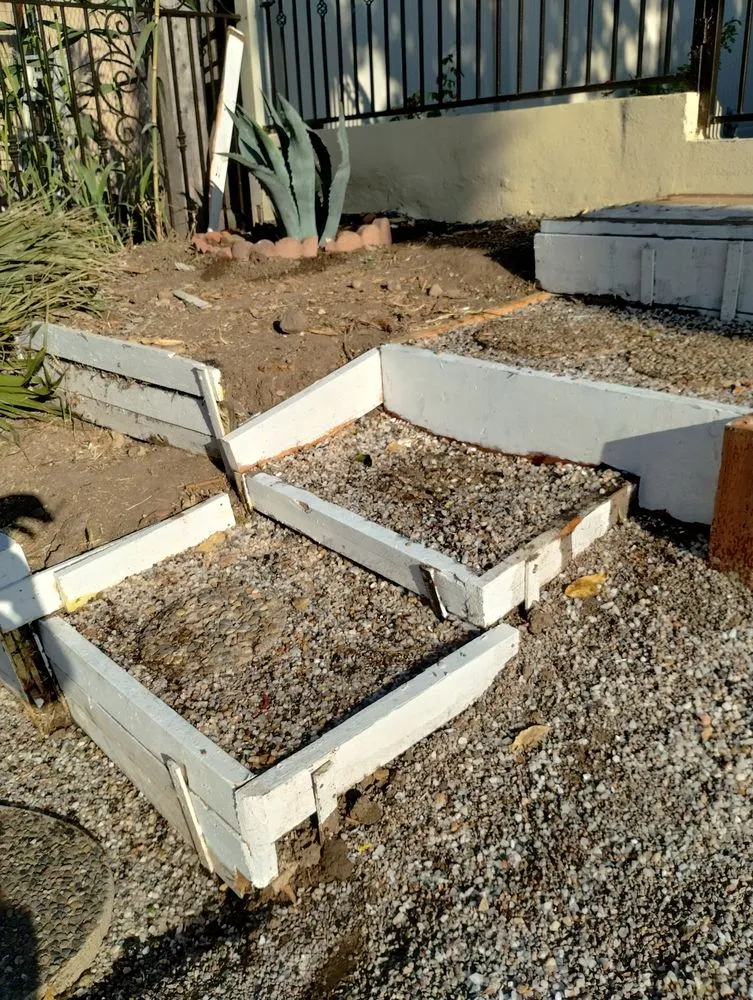 Reliable yard cleanup service experts serving San Diego, CA - Perez Landscaping