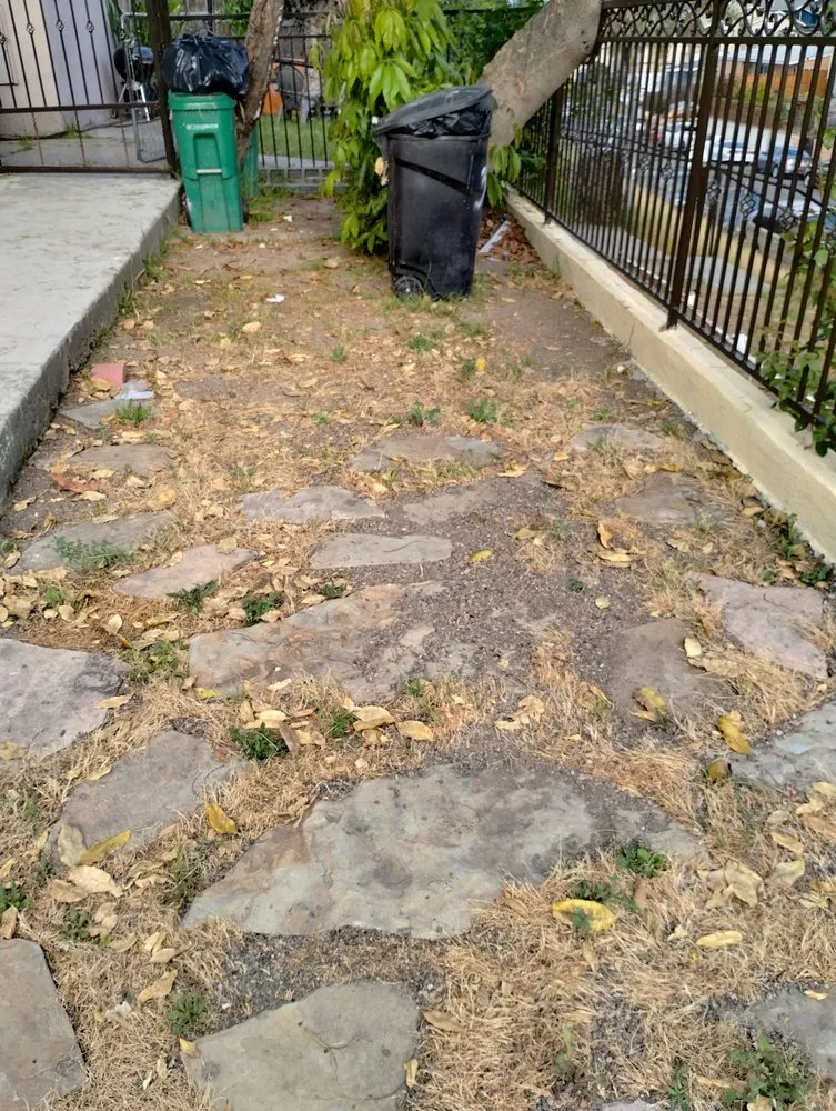 Top-rated landscaping services experts serving San Diego, CA - Perez Landscaping