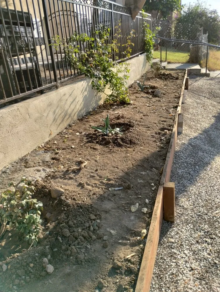 Professional landscape installation in San Diego, CA by Perez Landscaping