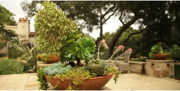 Trusted landscaping services in Santa Barbara, CA by Perez Landscaping