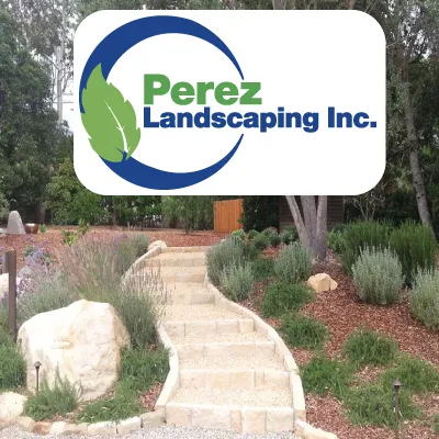 Custom yard cleanup service experts serving Santa Barbara, CA - Perez Landscaping