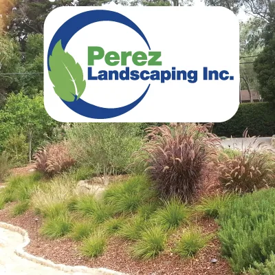 Trusted yard maintenance in Santa Barbara, CA by Perez Landscaping