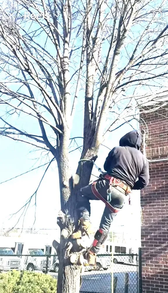 Reliable landscape design in Columbia, SC - Perez Landscaping Service