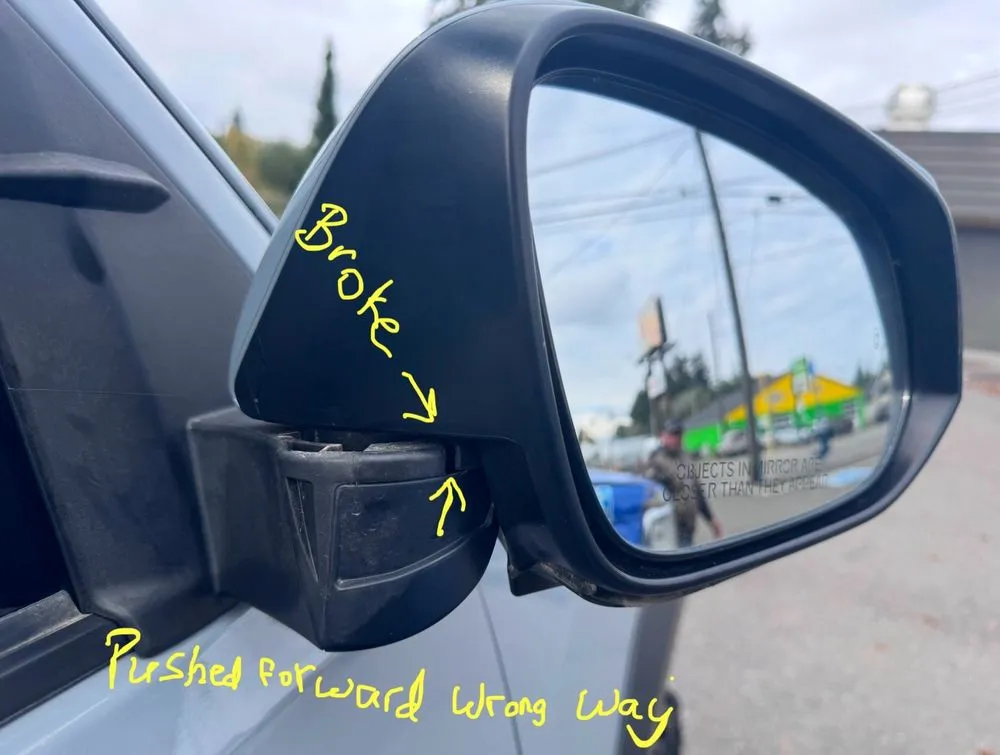 Reliable outdoor landscaping for homes across Everett, WA - Perez Landscaping Service