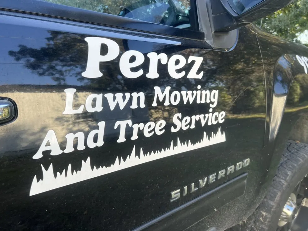 Expert outdoor landscaping for residential properties across Garden City, GA - Perez Landscaping Service