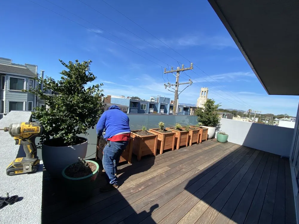 Expert landscaping services for residential properties in San Francisco, CA by Perez Landscaping Service