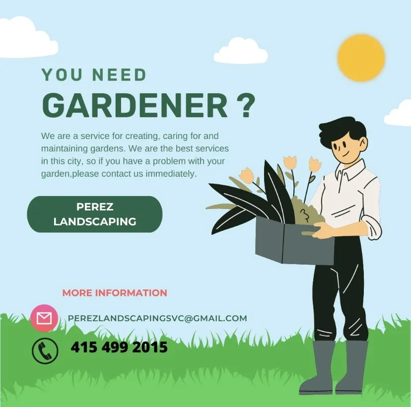Expert lawn care service for residential properties in San Francisco, CA by Perez Landscaping Service