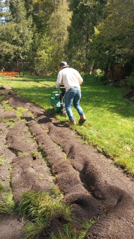 Affordable yard maintenance in San Francisco, CA by Perez Landscaping Service