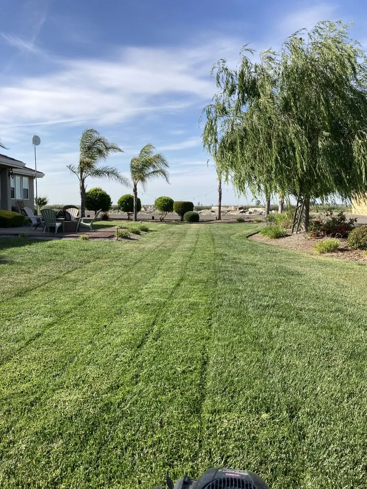 Affordable residential landscaping in South Dos Palos, CA - Perez landscaping service