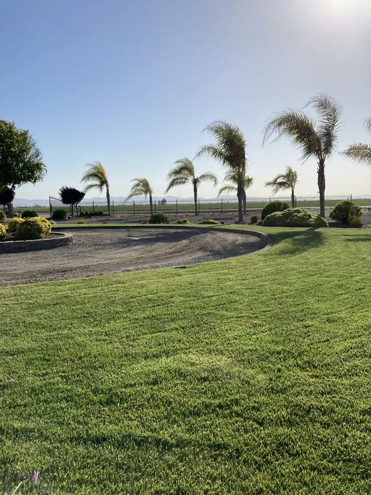 Reliable residential landscaping in South Dos Palos, CA - Perez landscaping service