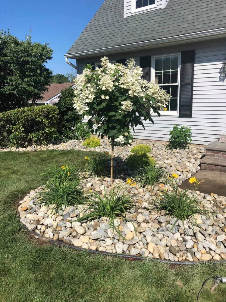 Expert yard cleanup service for outdoor upgrades in Old Forge, PA by Perez Landscaping services