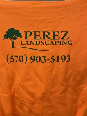 Perez Landscaping services