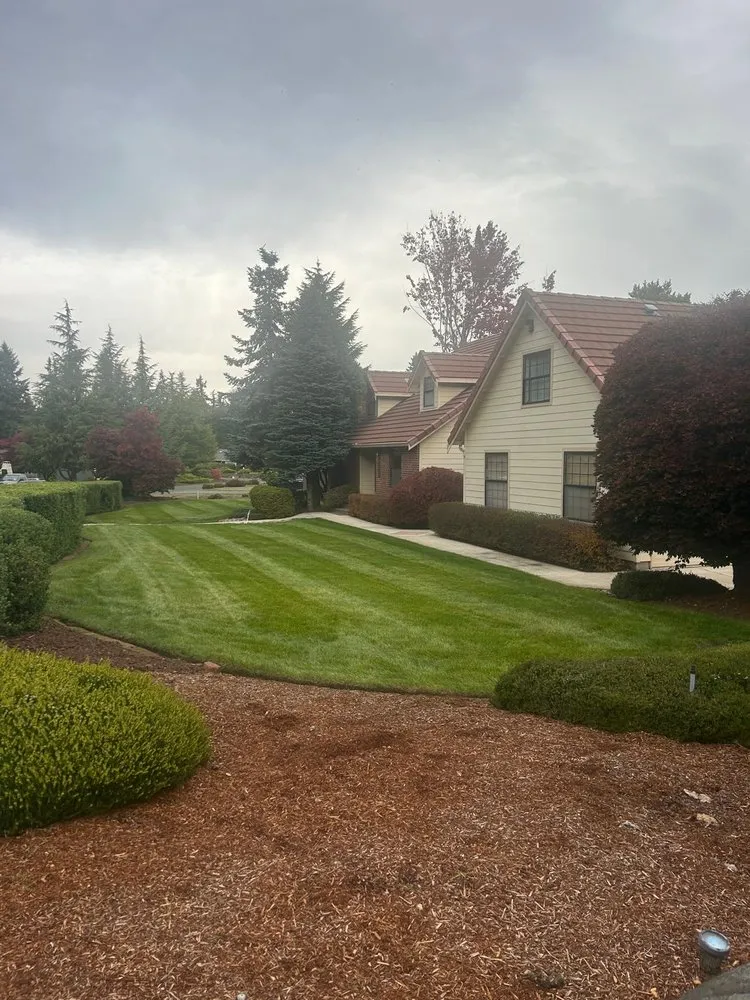 Custom landscape installation for year-round maintenance in Olympia, WA by Perez Landscaping Services