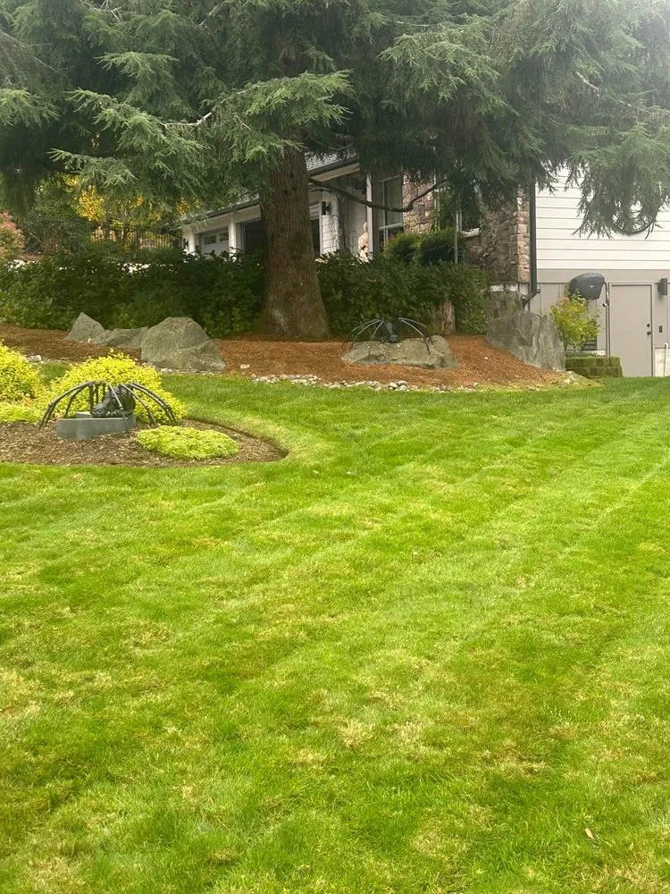 Custom lawn mowing service with custom design in Olympia, WA by Perez Landscaping Services