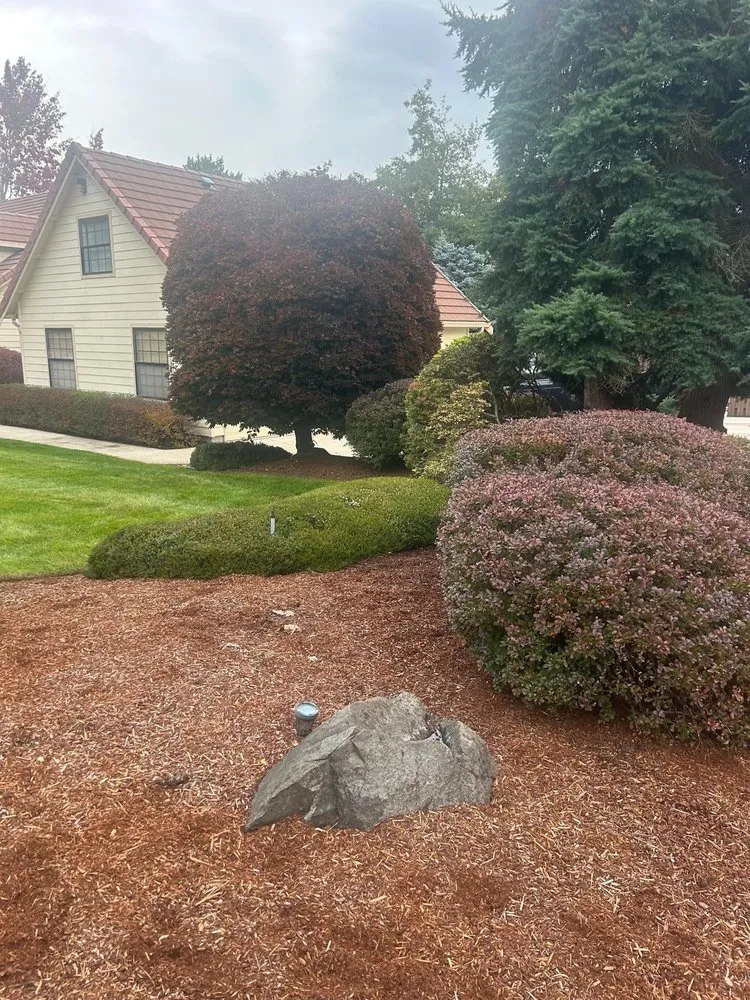 Professional landscape design for year-round maintenance across Olympia, WA - Perez Landscaping Services