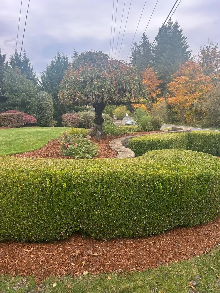 Reliable lawn care service for outdoor upgrades across Olympia, WA - Perez Landscaping Services