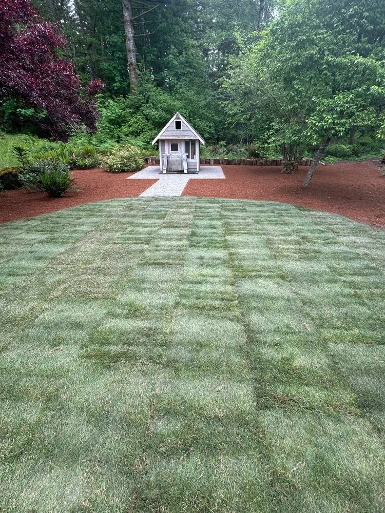 Trusted yard maintenance experts serving Olympia, WA - Perez Landscaping Services