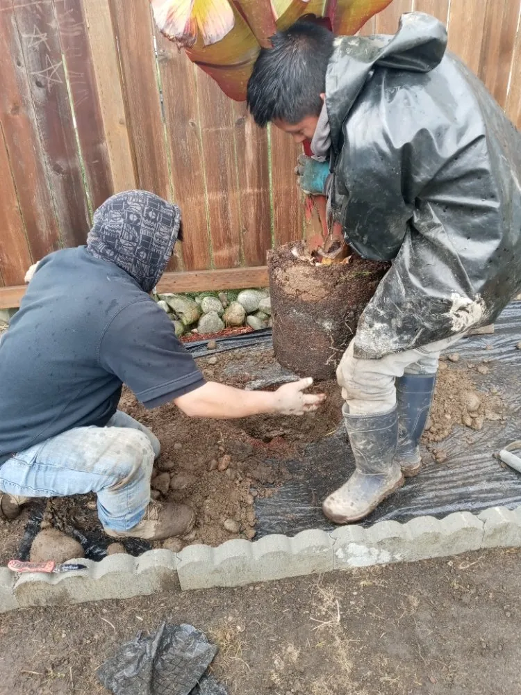 Expert outdoor landscaping in Shelton, WA by Perez Landscaping