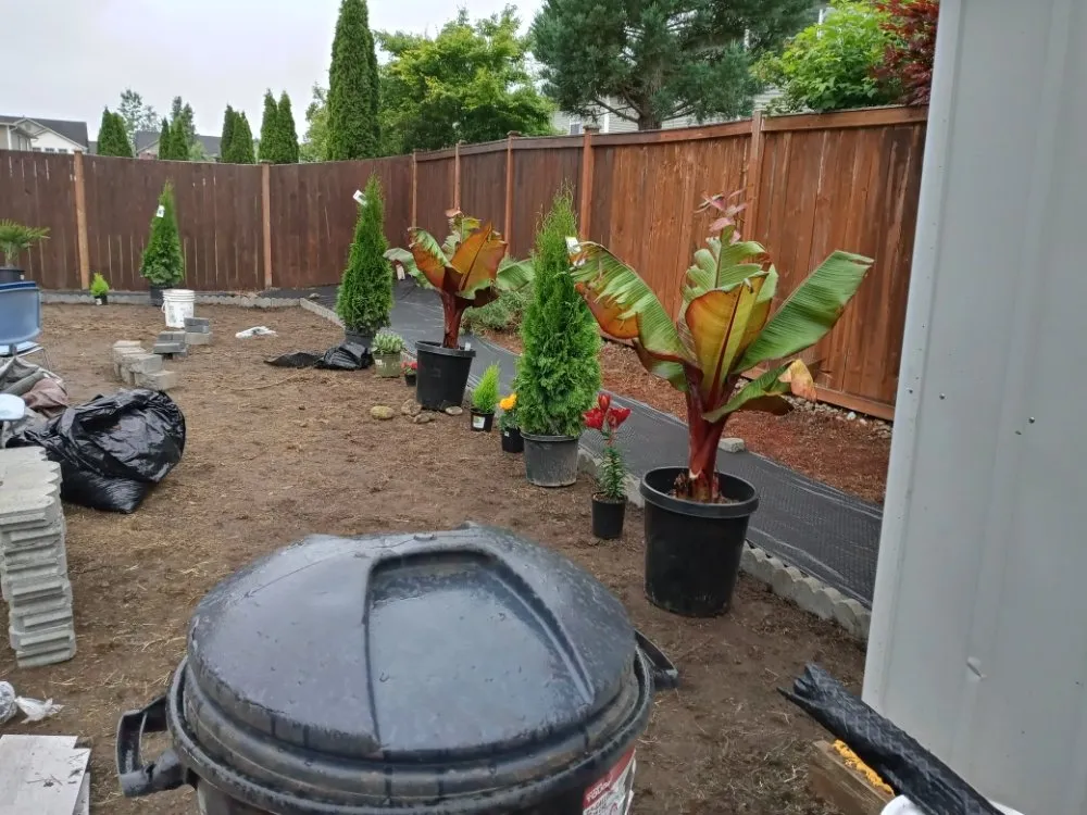 Local landscaping services in Shelton, WA - Perez Landscaping