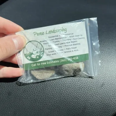 Perez Landscaping Logo