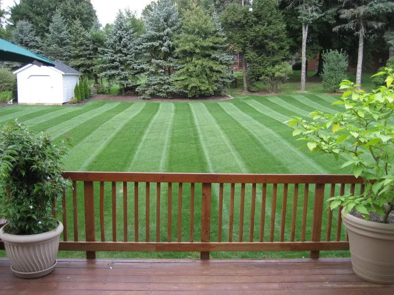 Affordable lawn mowing service in Springfield, MA - Perez Landscaping
