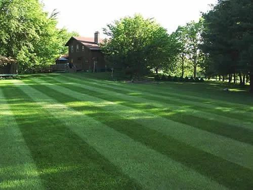Expert yard cleanup service for beautiful yards in Springfield, MA by Perez Landscaping