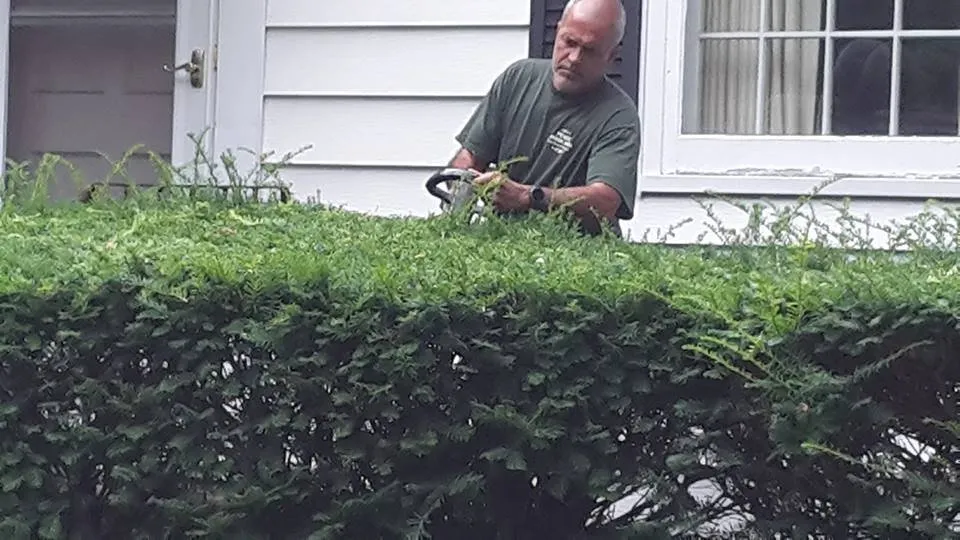 Top-rated landscape installation for residential properties across Springfield, MA - Perez Landscaping