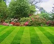 Professional landscaping services for beautiful yards in Springfield, MA by Perez Landscaping