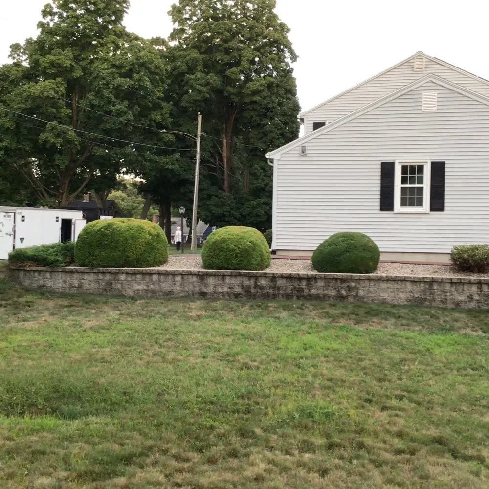 Professional yard maintenance in Springfield, MA by Perez Landscaping