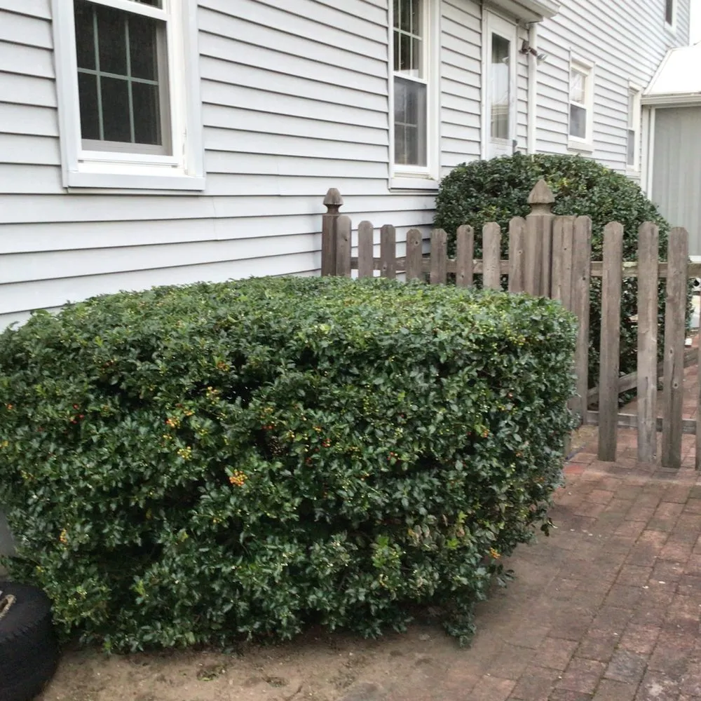 Custom landscape design in Springfield, MA - Perez Landscaping