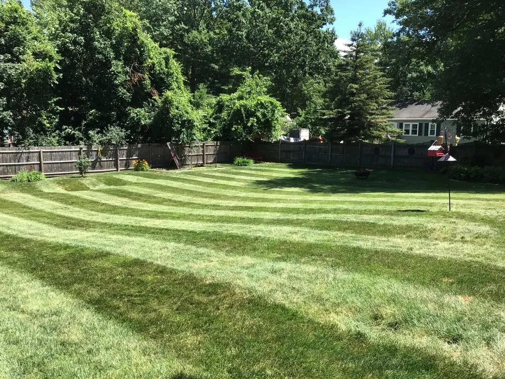 Trusted lawn care service in Springfield, MA - Perez Landscaping
