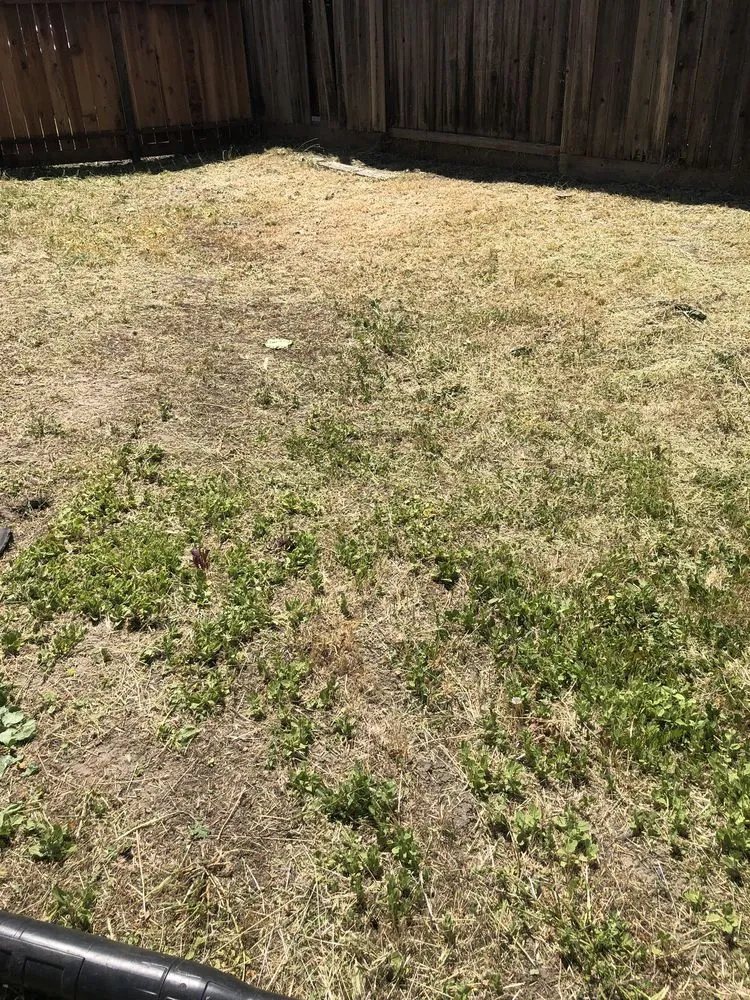 Reliable outdoor landscaping for homes in Stockton, CA by Perez Landscaping