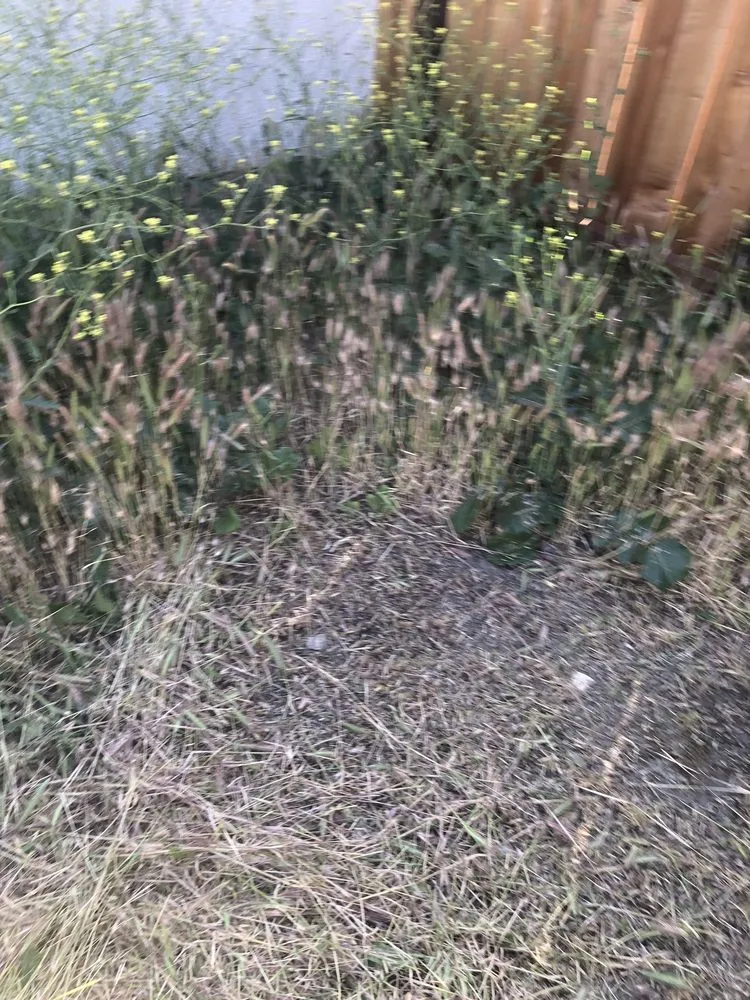 Custom garden landscaping experts serving Stockton, CA - Perez Landscaping