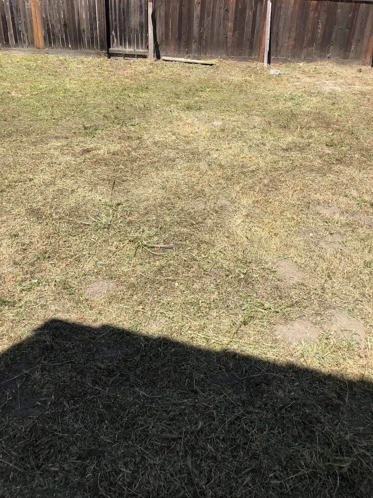 Local garden landscaping for homes in Stockton, CA by Perez Landscaping