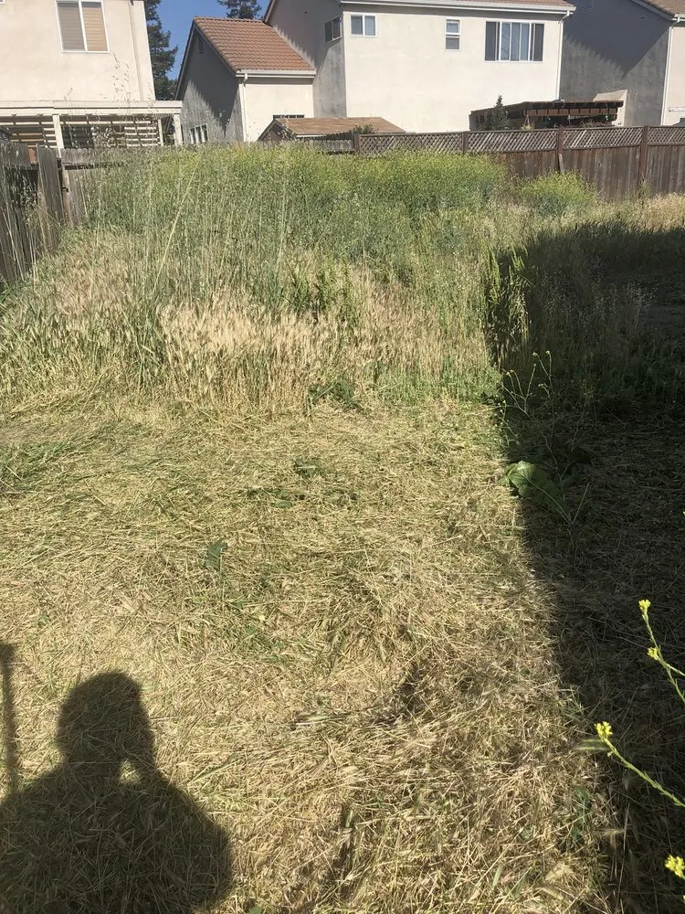 Professional residential landscaping near you across Stockton, CA - Perez Landscaping