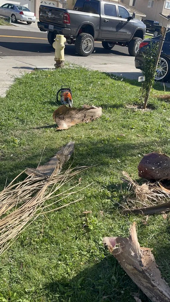 Local lawn mowing service experts serving Stockton, CA - Perez Landscaping