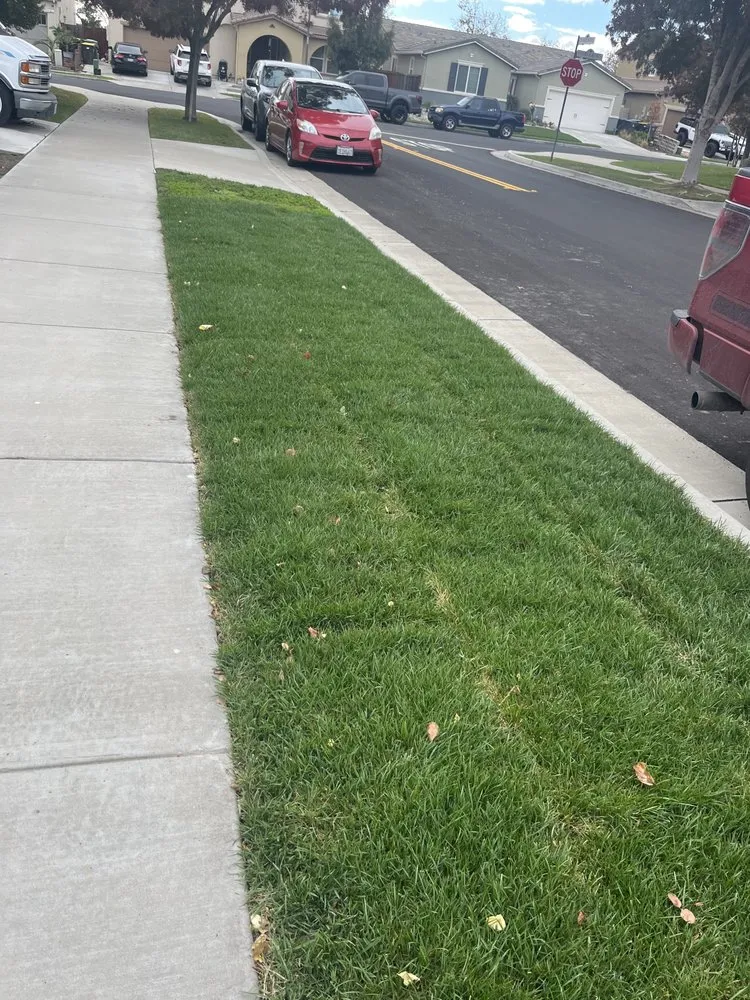 Trusted lawn mowing service in Stockton, CA by Perez Landscaping