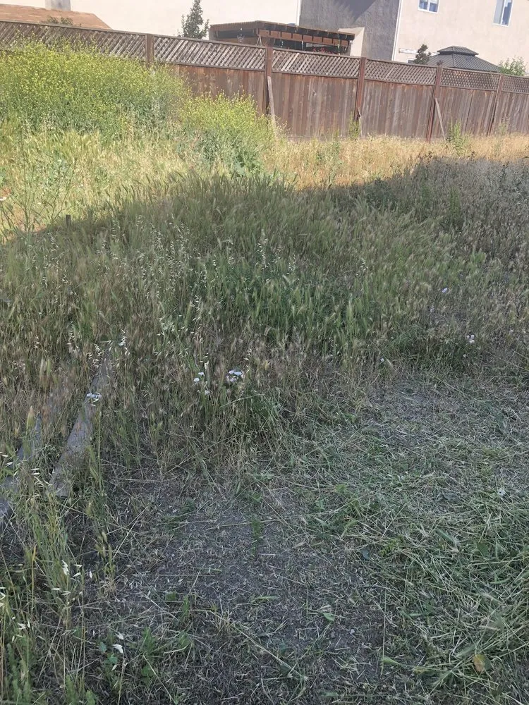 Reliable yard cleanup service in Stockton, CA by Perez Landscaping