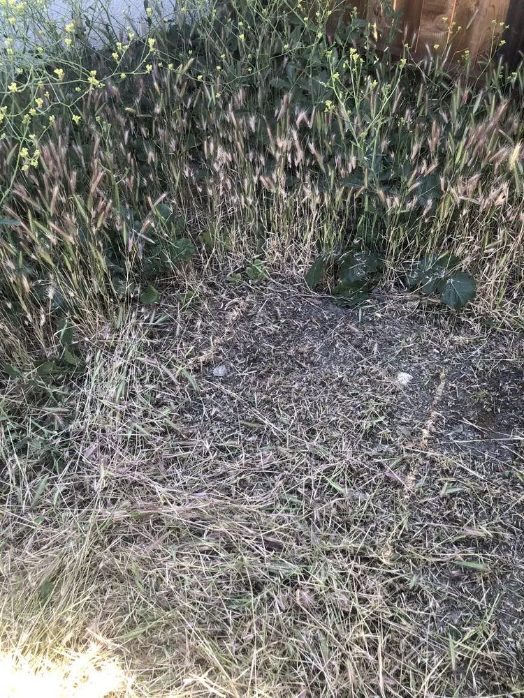 Affordable lawn mowing service experts serving Stockton, CA - Perez Landscaping