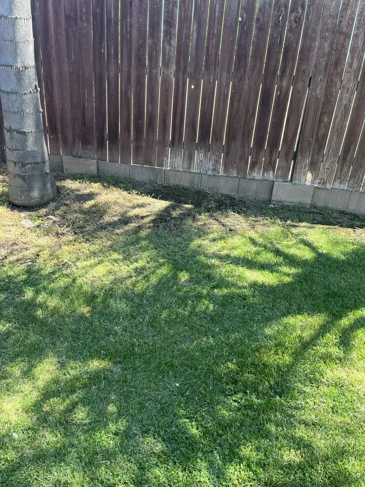 Professional residential landscaping for year-round maintenance in Stockton, CA by Perez Landscaping