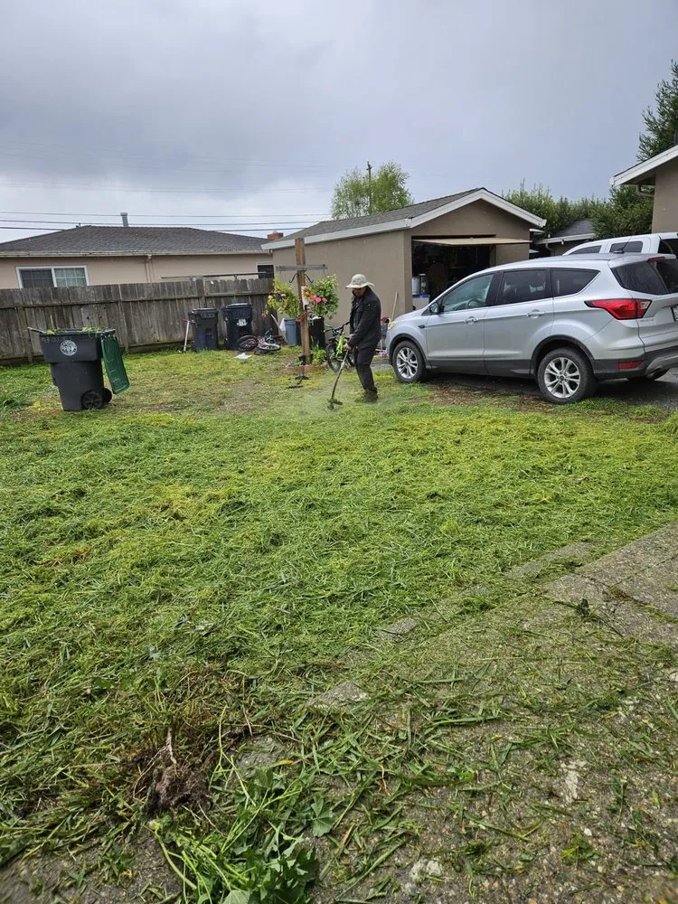 Local landscape installation experts serving Watsonville, CA - Perez Landscaping