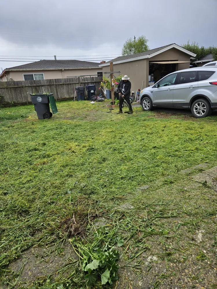 Trusted outdoor landscaping near you in Watsonville, CA by Perez Landscaping
