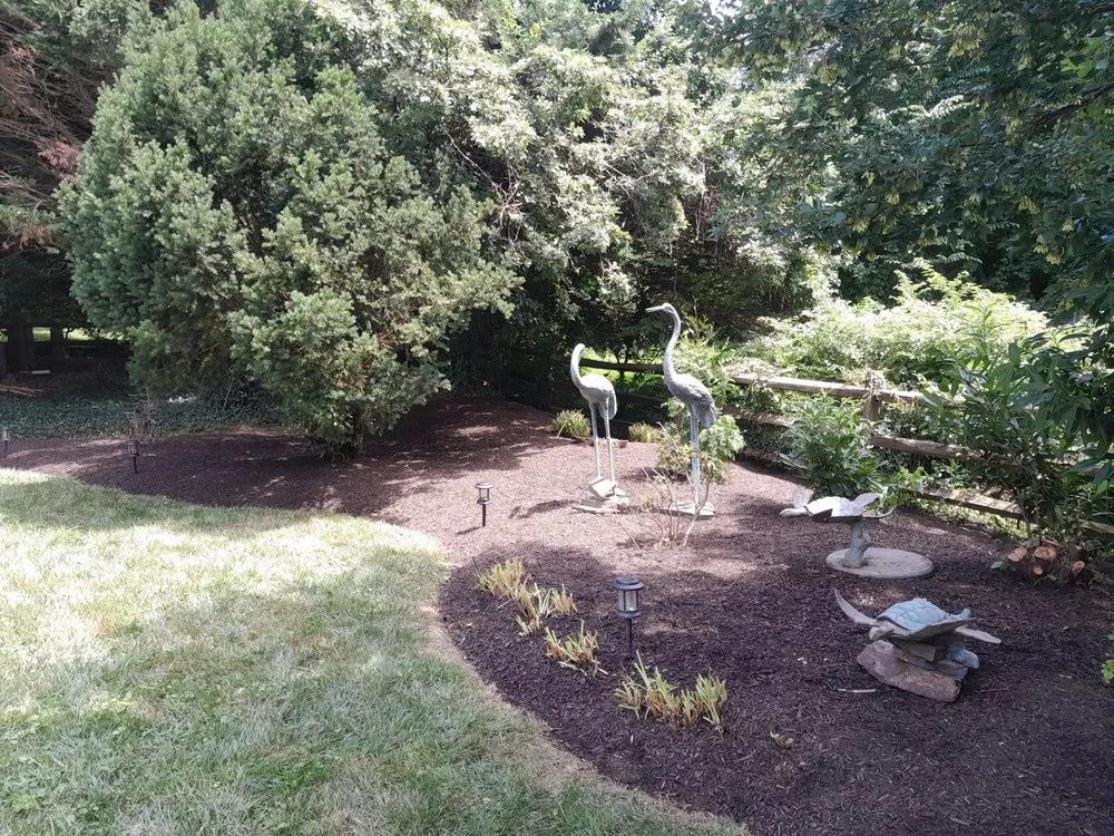 Top-rated yard cleanup service experts serving Wilmington, DE - Perez Landscaping
