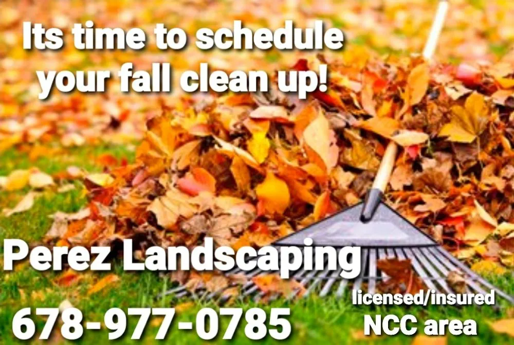 Trusted yard cleanup service in Wilmington, DE - Perez Landscaping